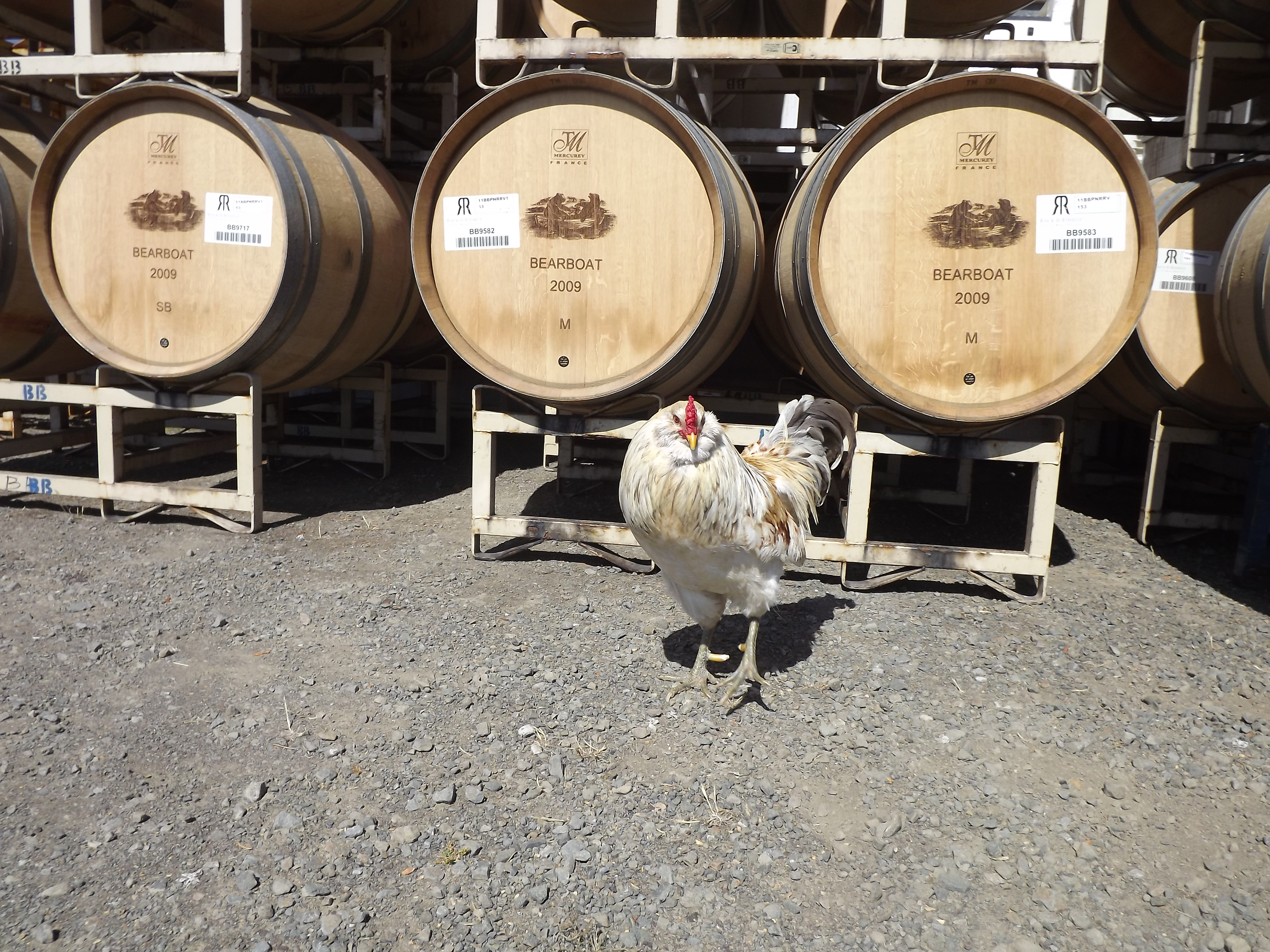 Pacific Star Winery