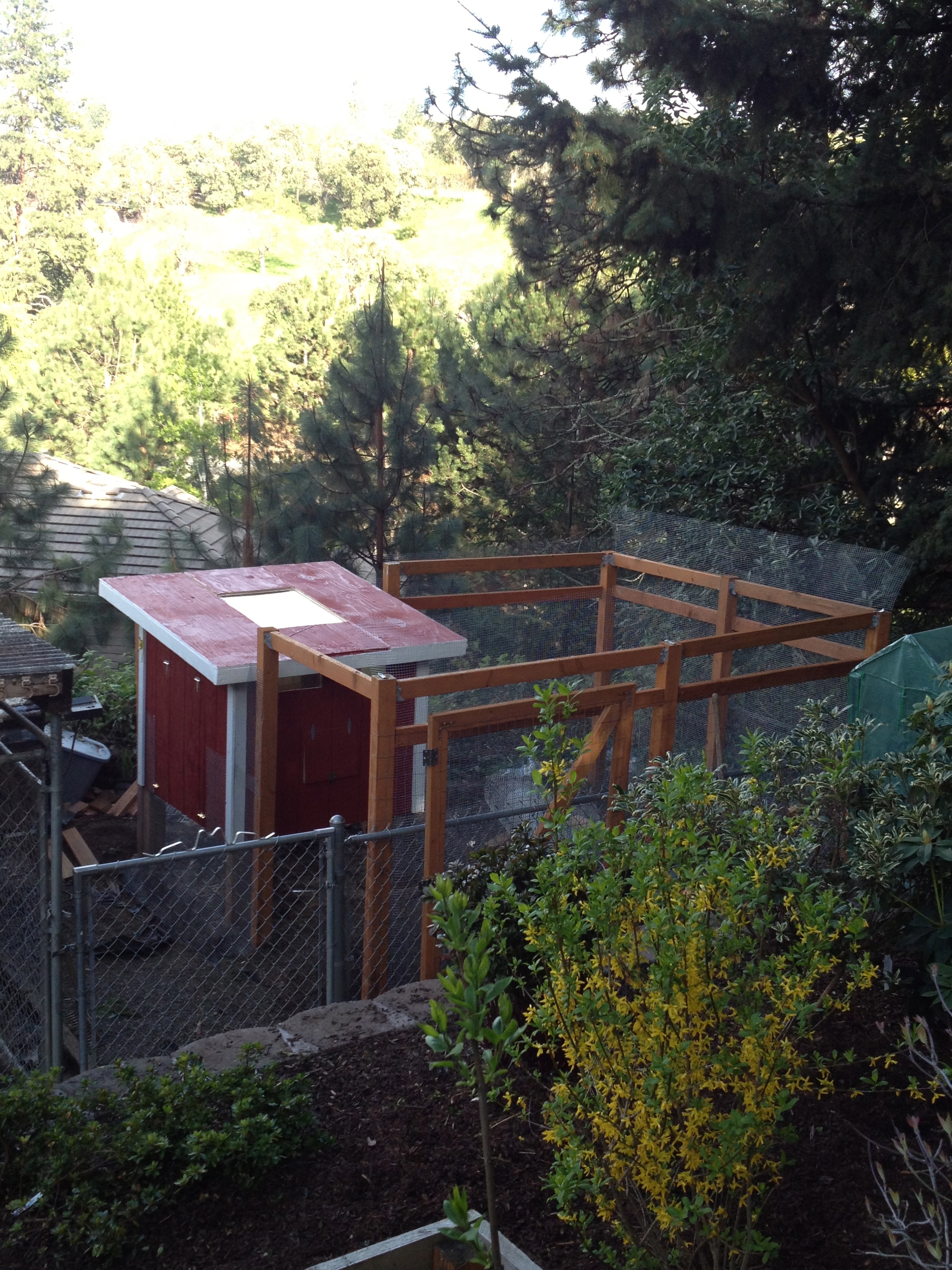 Painted coop and now we are working on wire around the run. Roofing next.
