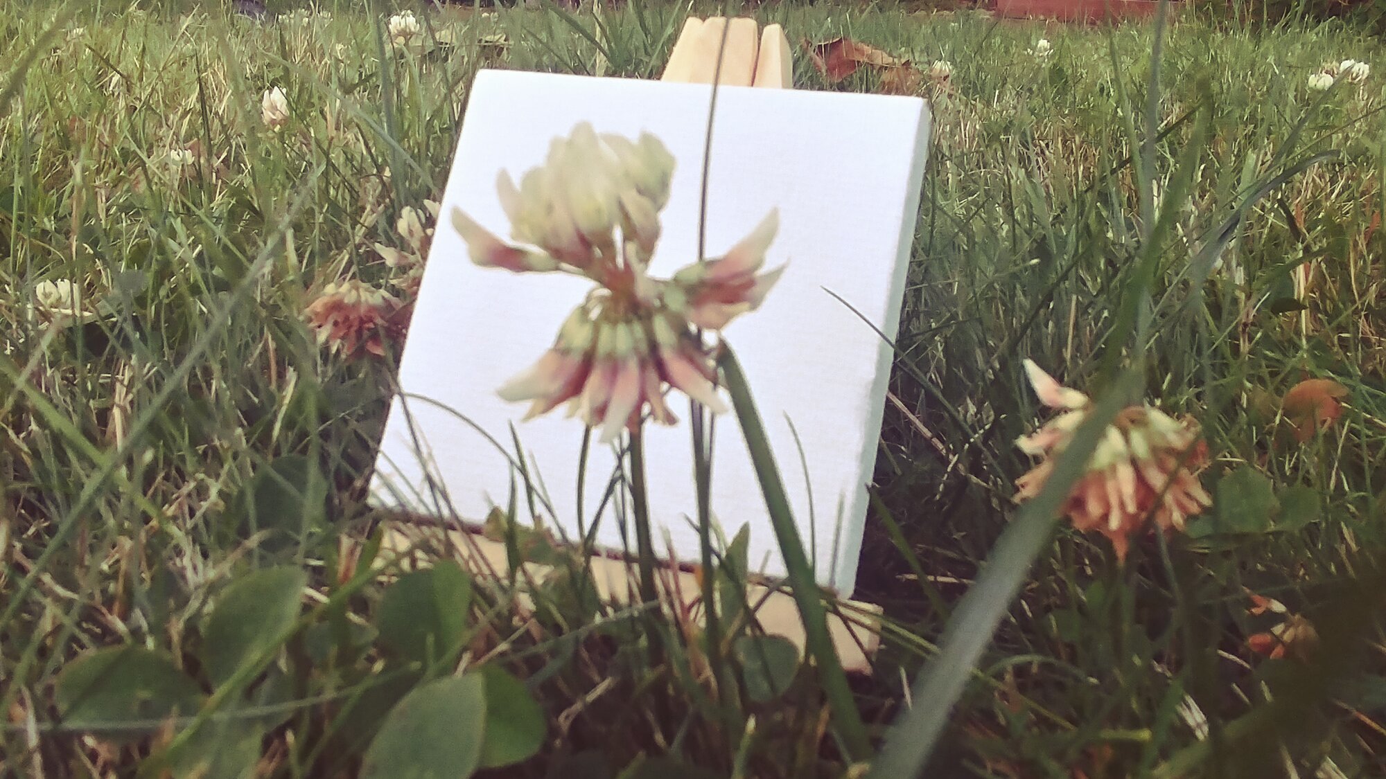 Painting in the Grass