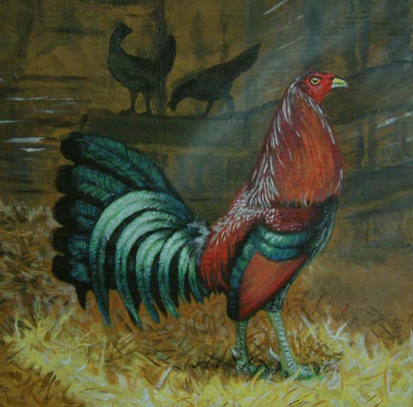 painting of a Leiper gamecock - colors are horribly off in the photo though