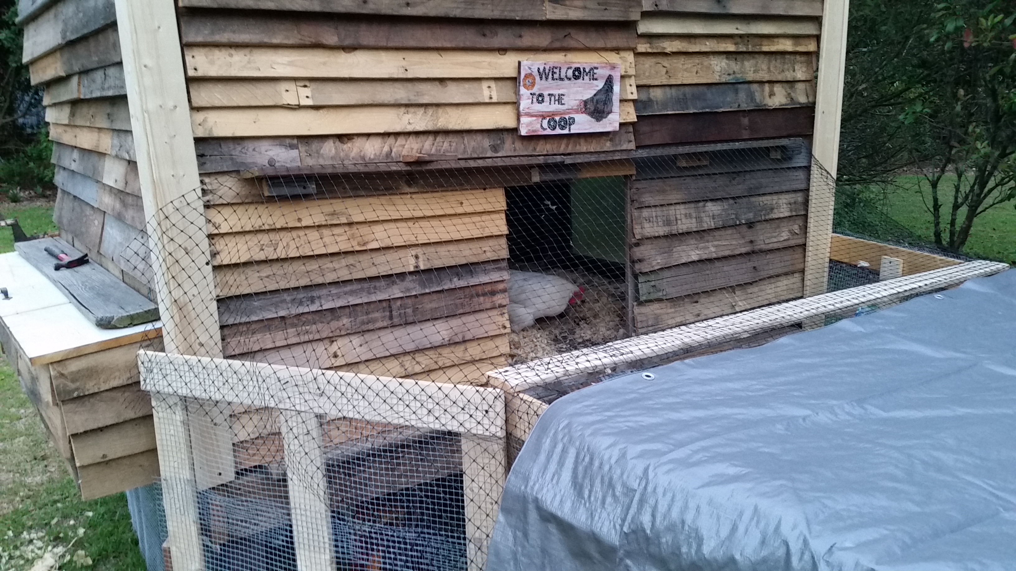 Pallet coop