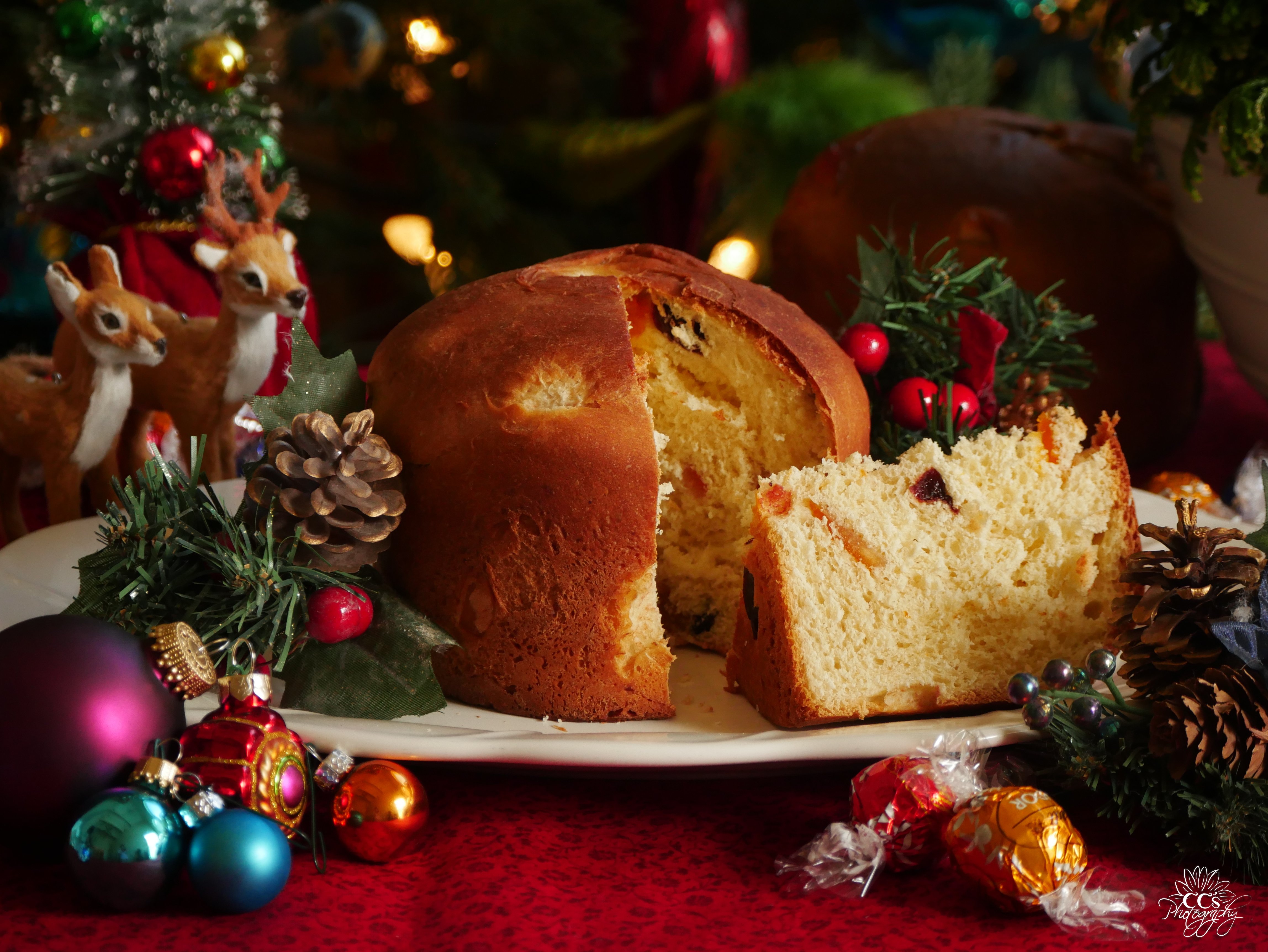 Panettone.JPG