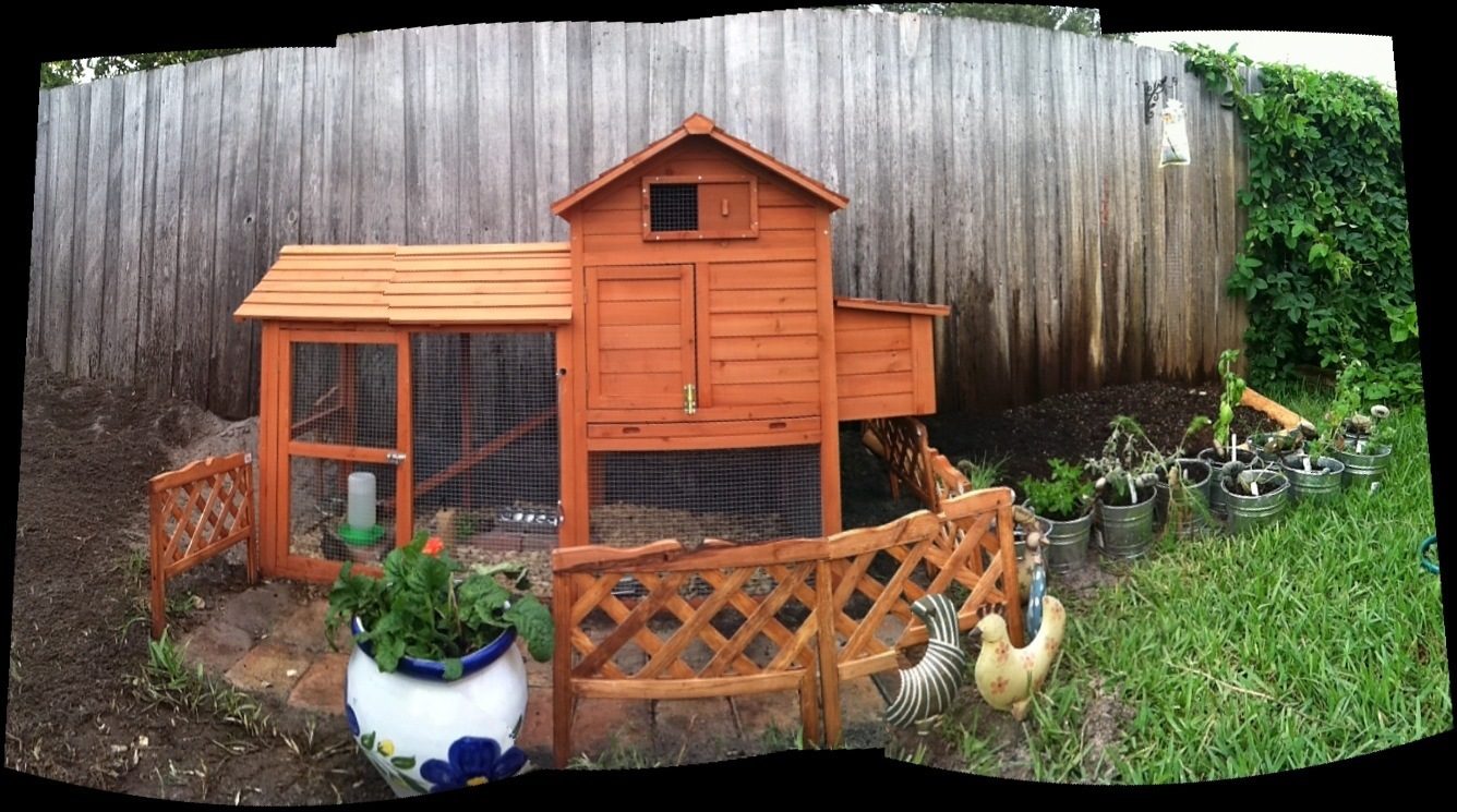 Panoramic view of coop area. June 30, 2012