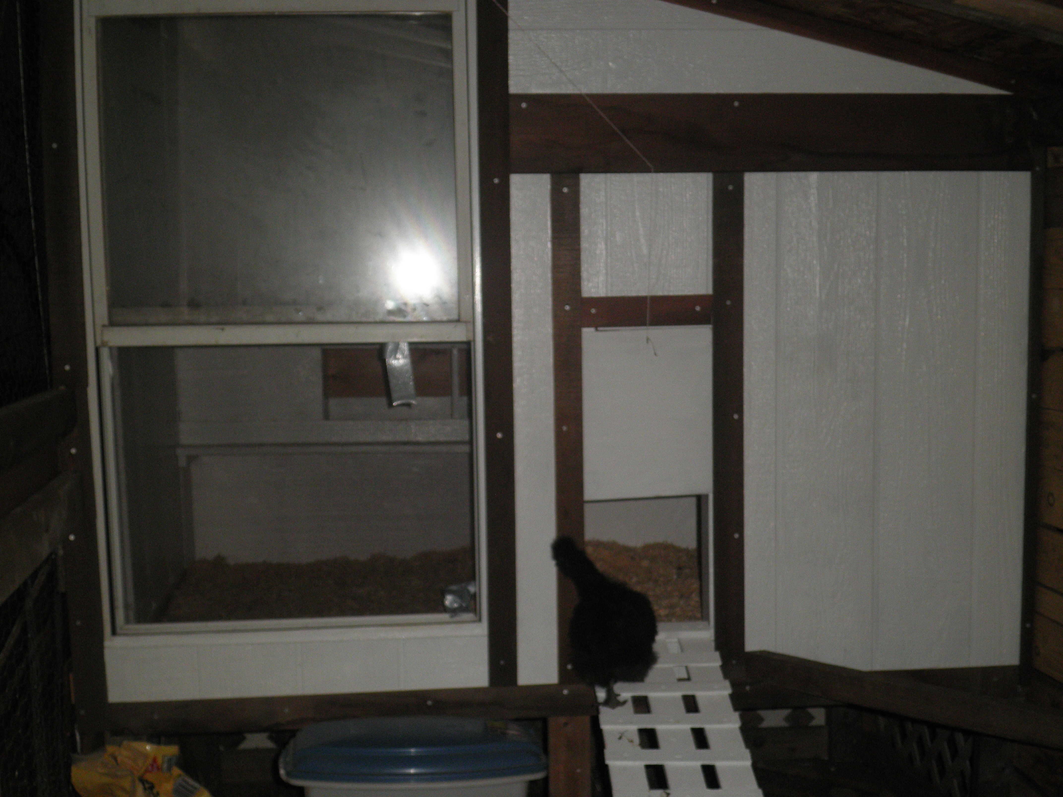 Part of our coop!