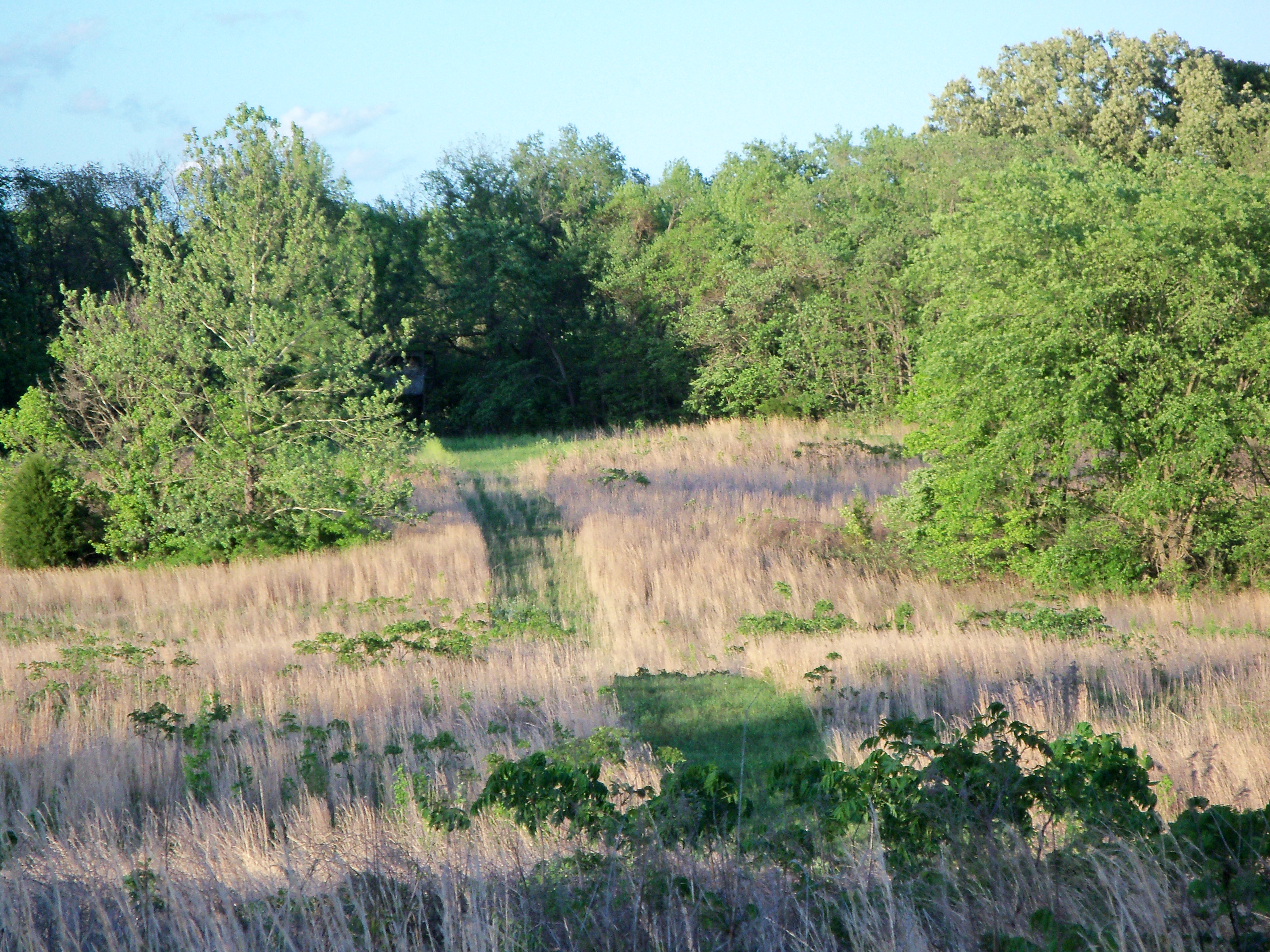 Part of our farm. My husband does not farm anymore tho. Have trails for Polaris riding. So pretty and quiet.