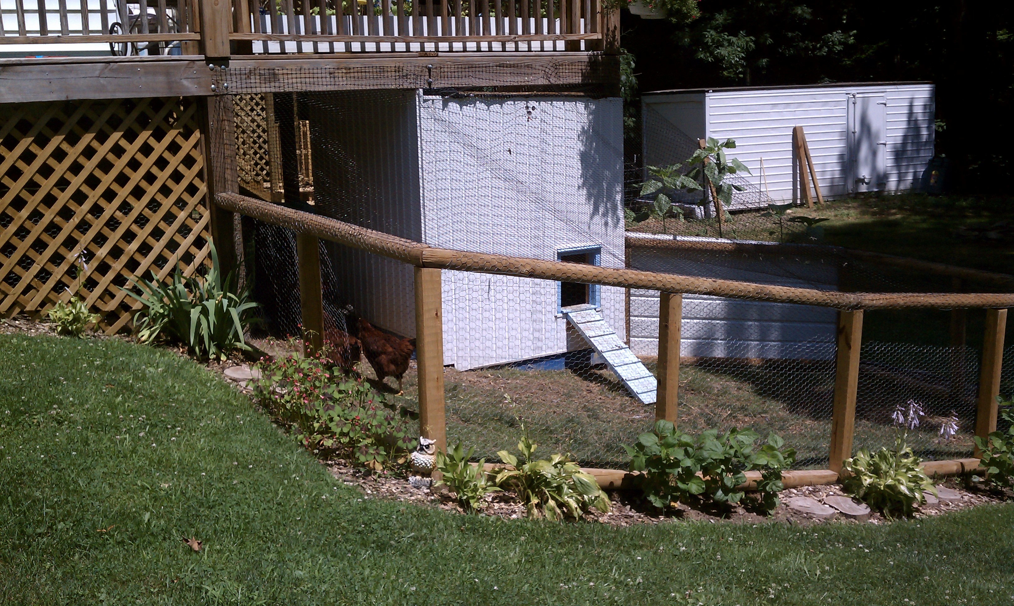 Part of the Chicken Run: Hopefully next year the hostas will be filled in better! I planted green beans in between since I ran out of space in the garden and the flowers I planted didn't grow!