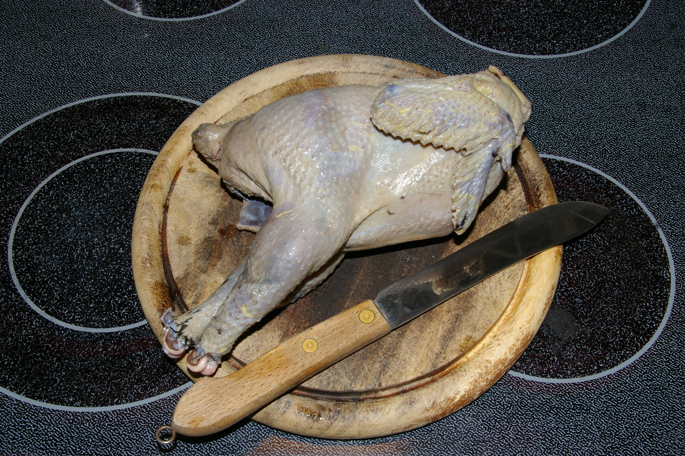 partly melanized dinner