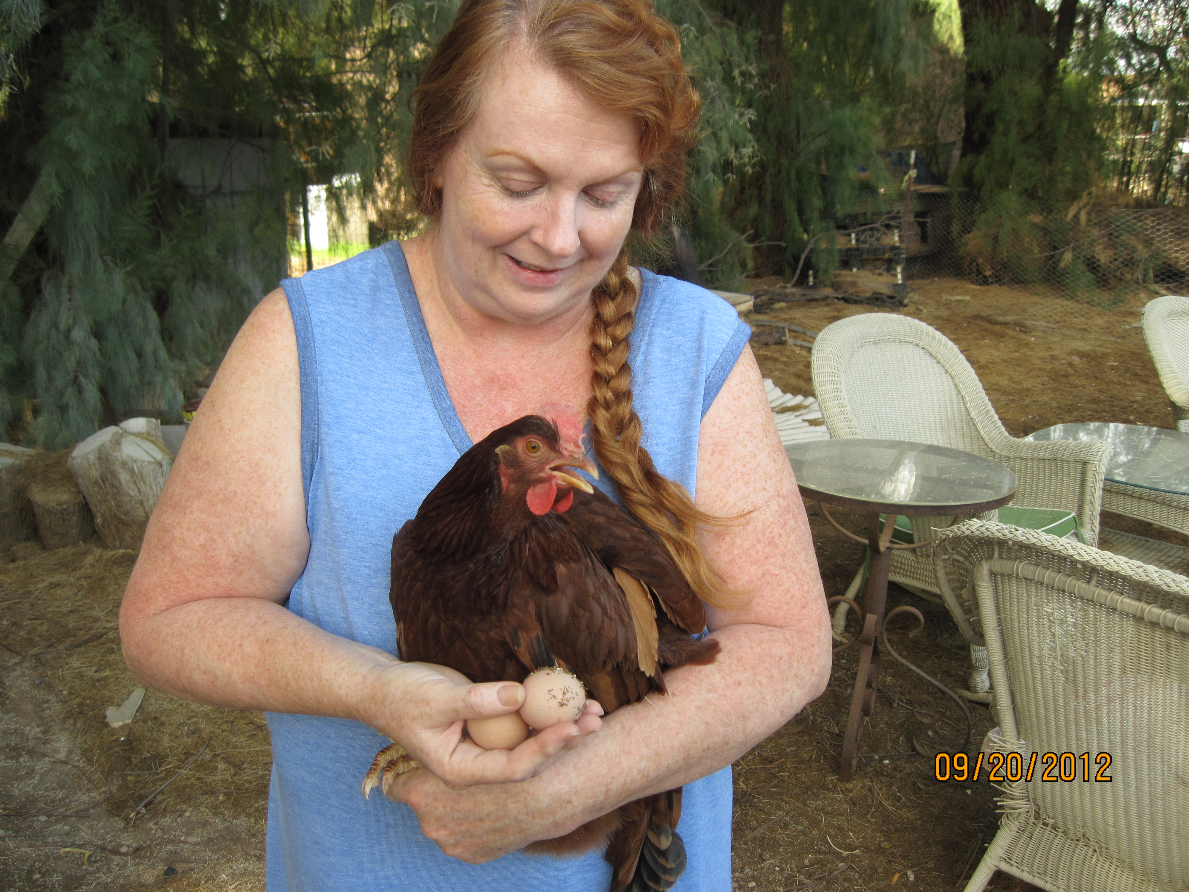Patience laid her first eggs today!! I was holding her while she had the 2nd one!!!!