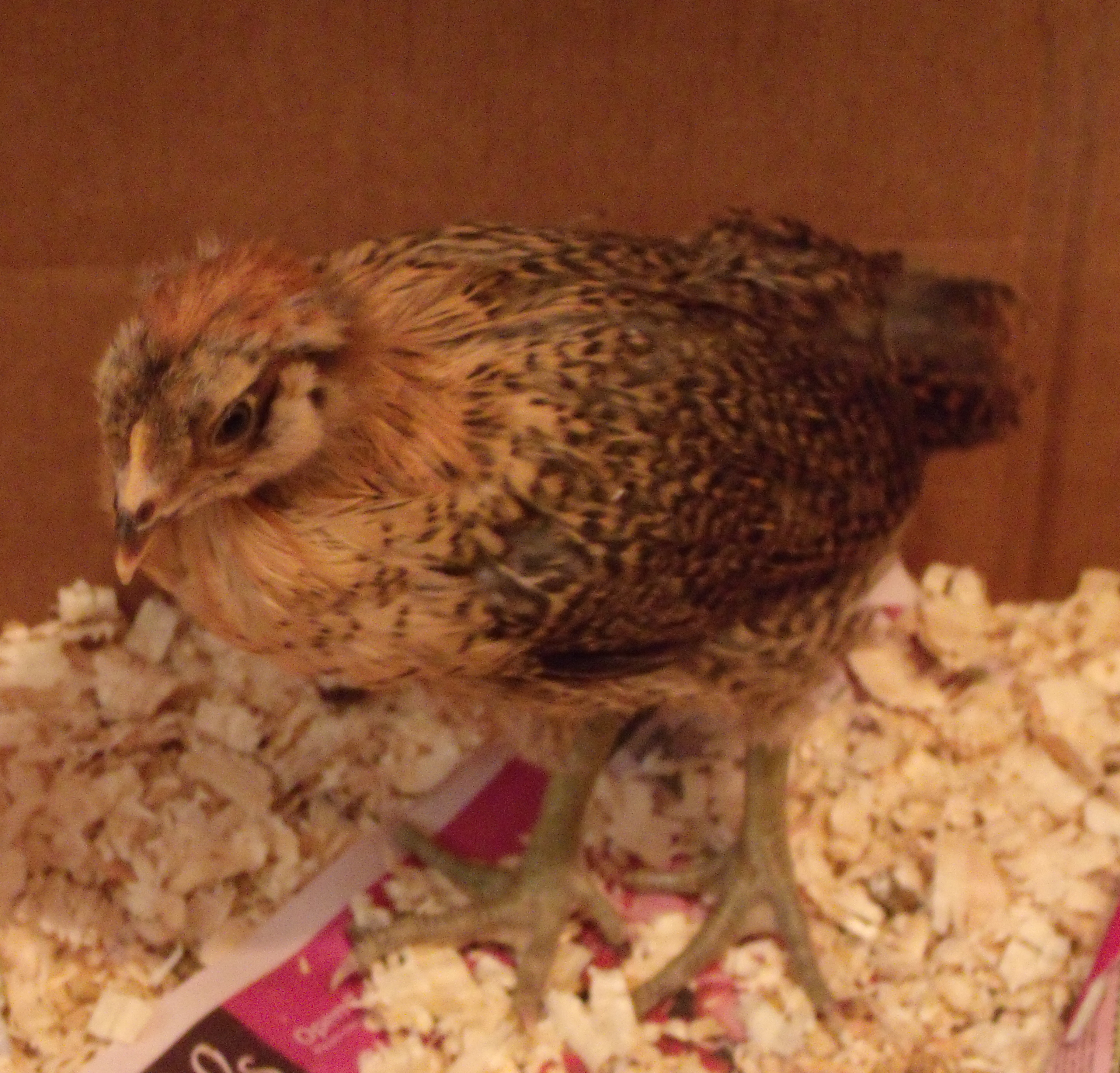 Patty....she's a BIG GIRL