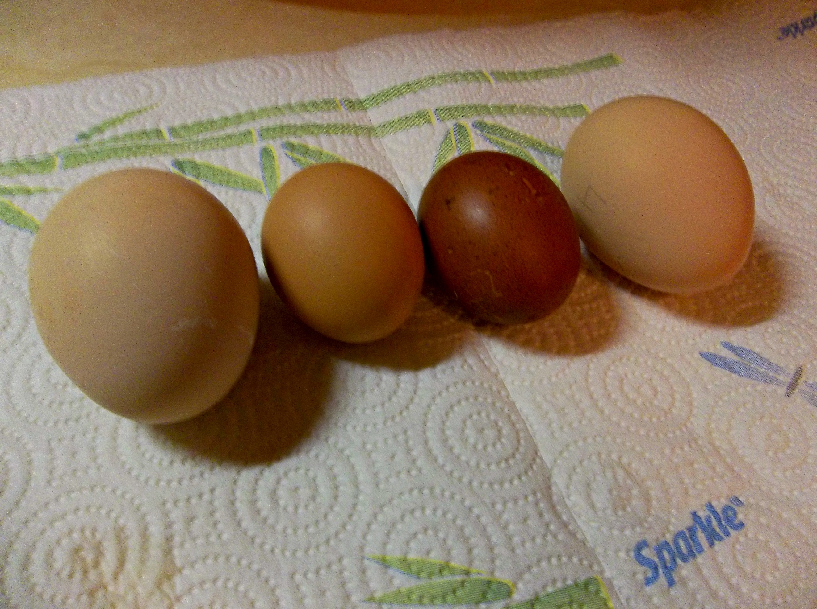 Peafowl eggs on either side of chicken eggs.