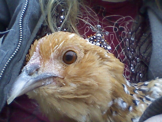 Peanut in my arms all nice and warm!