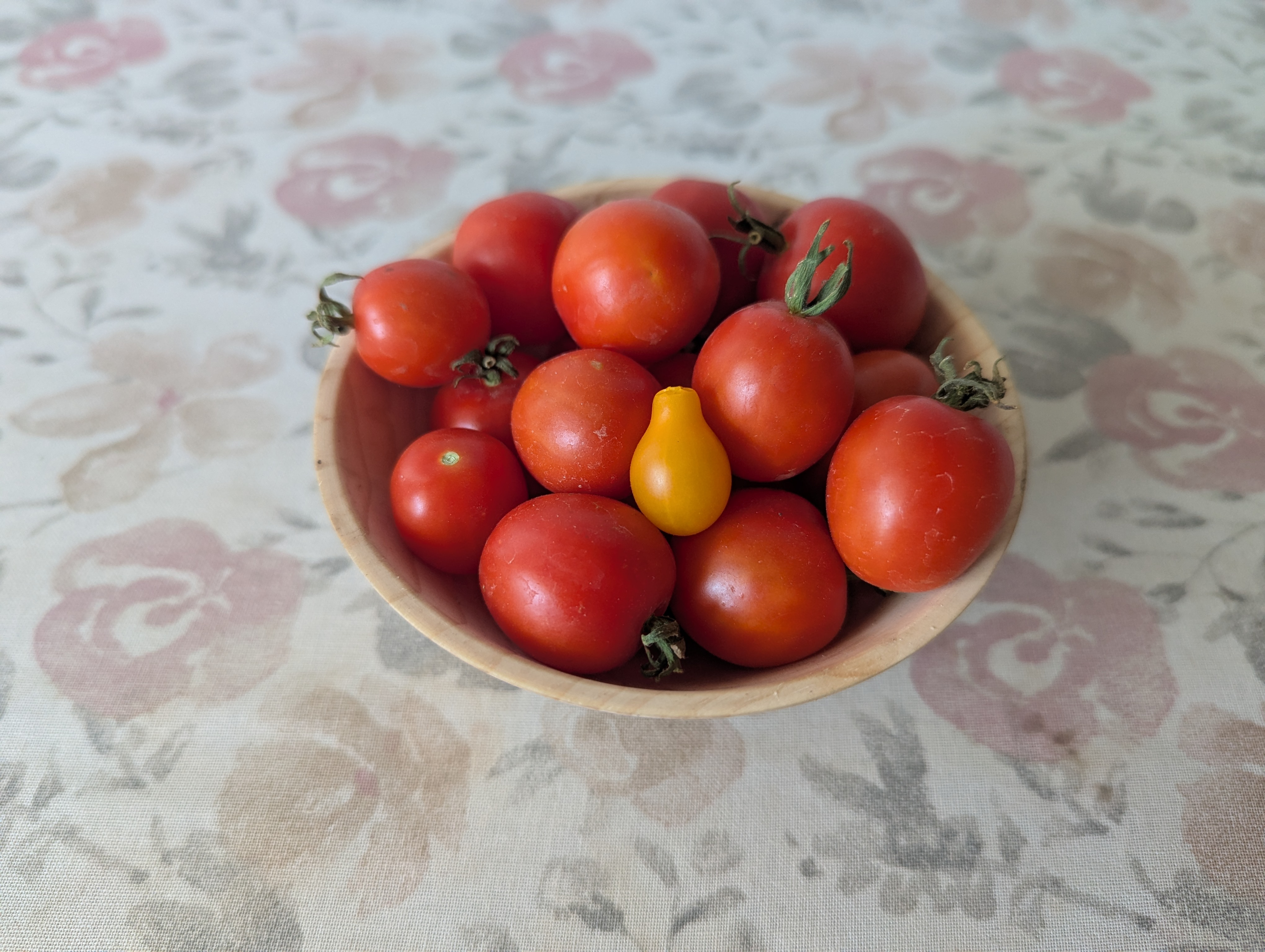 Pear tomato