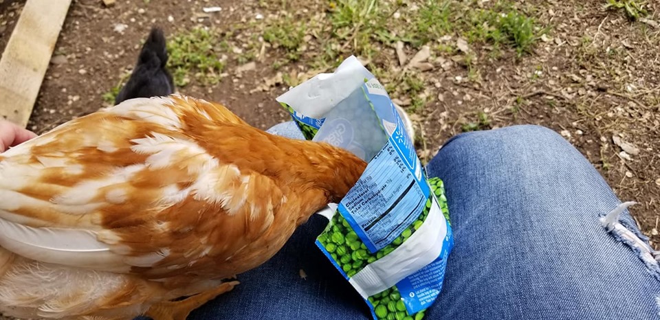 Peas