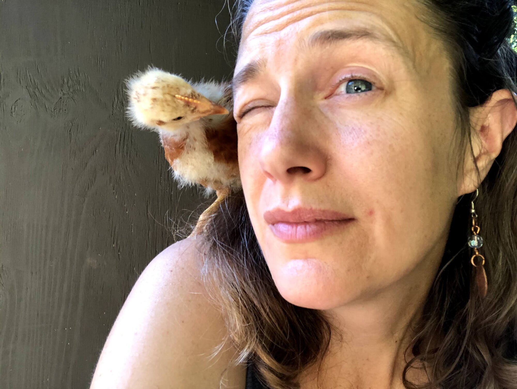 Peck_Your_Eyes_Out.jpg