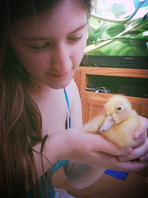 Peep and i