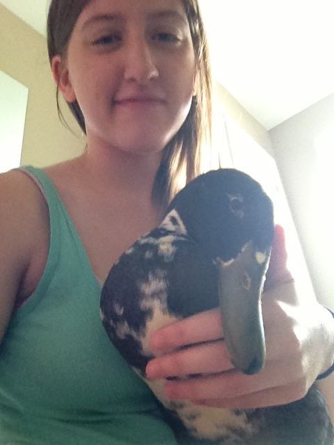 Penguin and i
