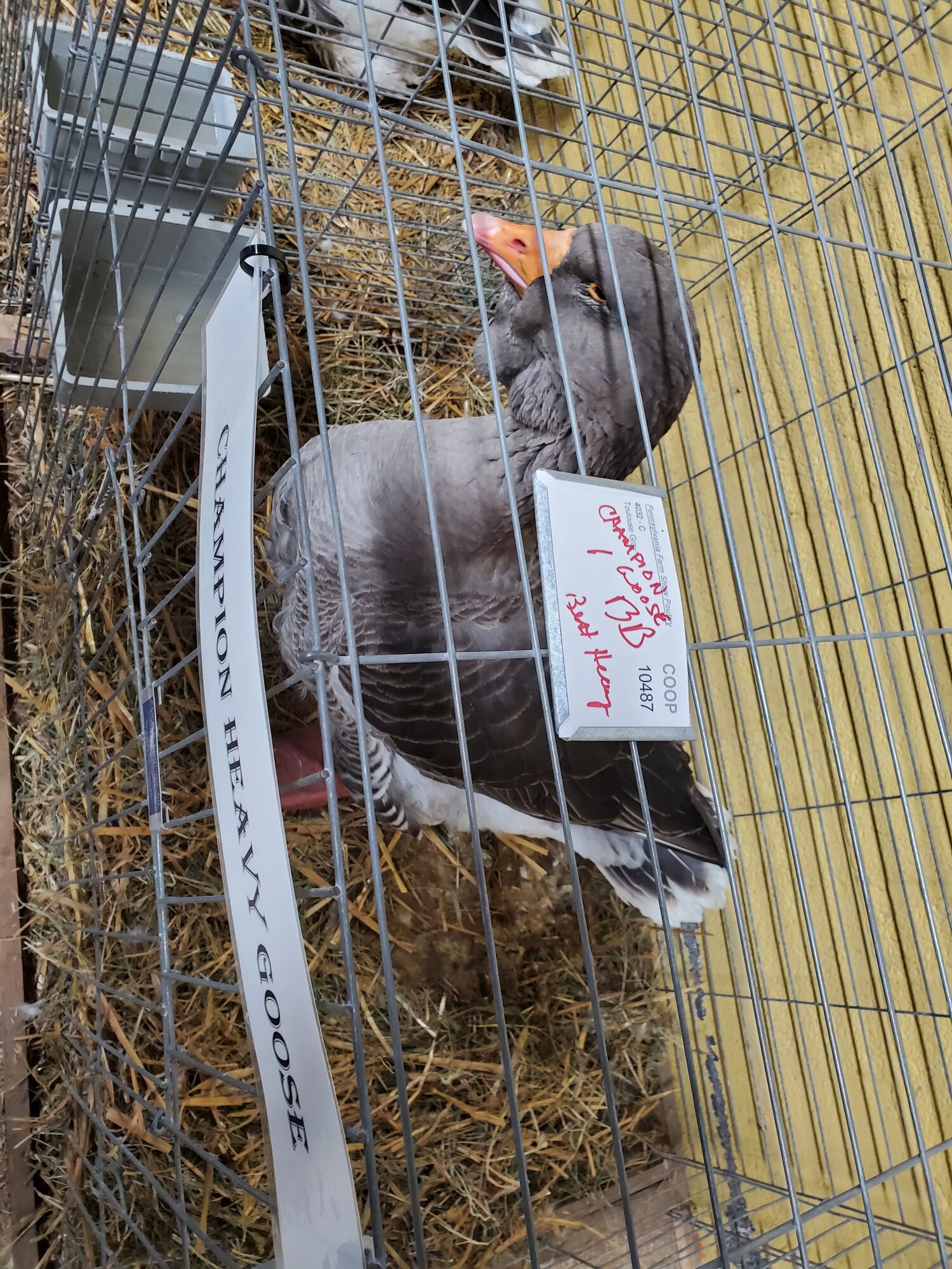 Pennsylvania Farm Show 2020