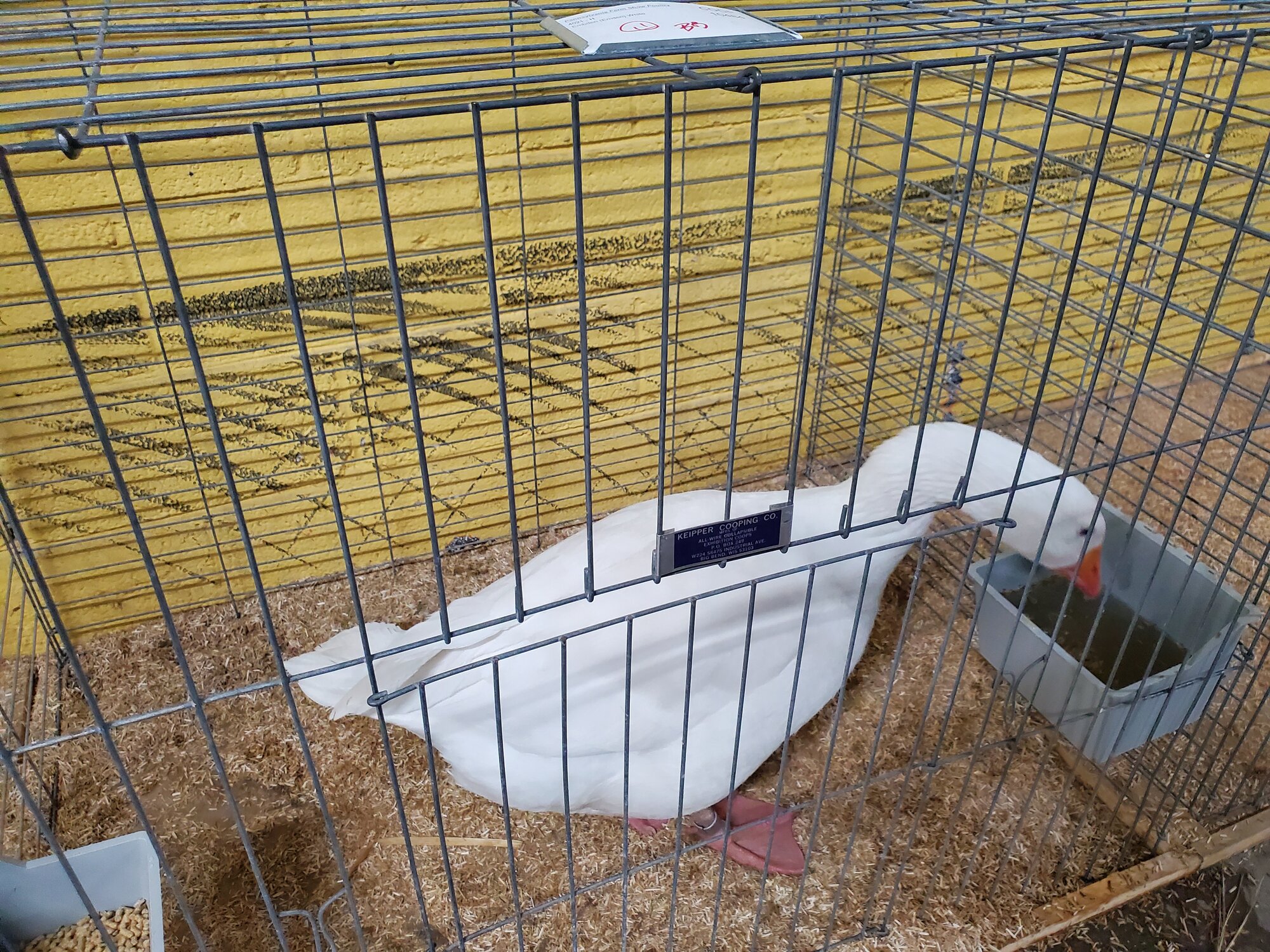 Pennsylvania Farm Show 2020