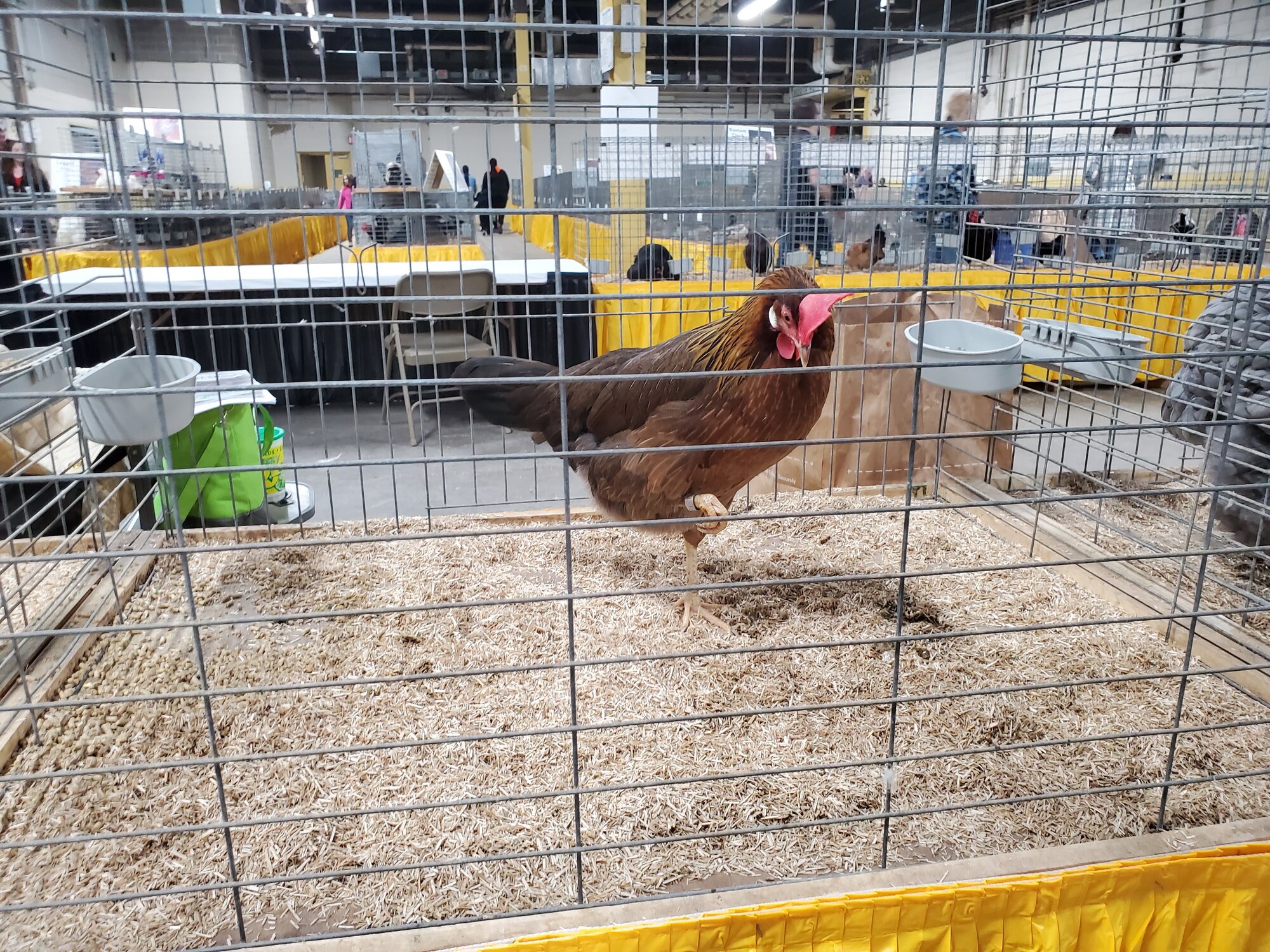 Pennsylvania Farm Show 2020