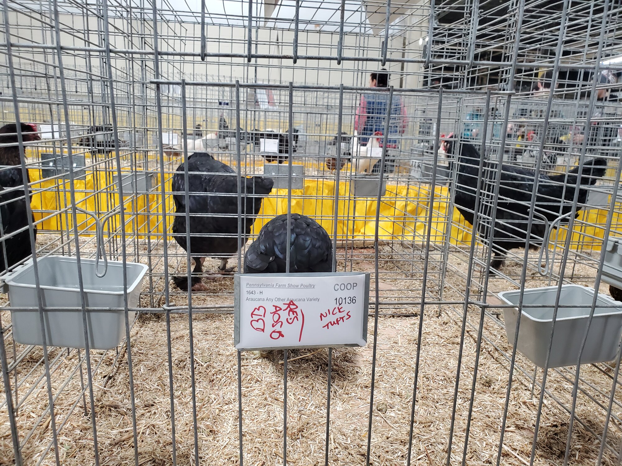 Pennsylvania Farm Show 2020