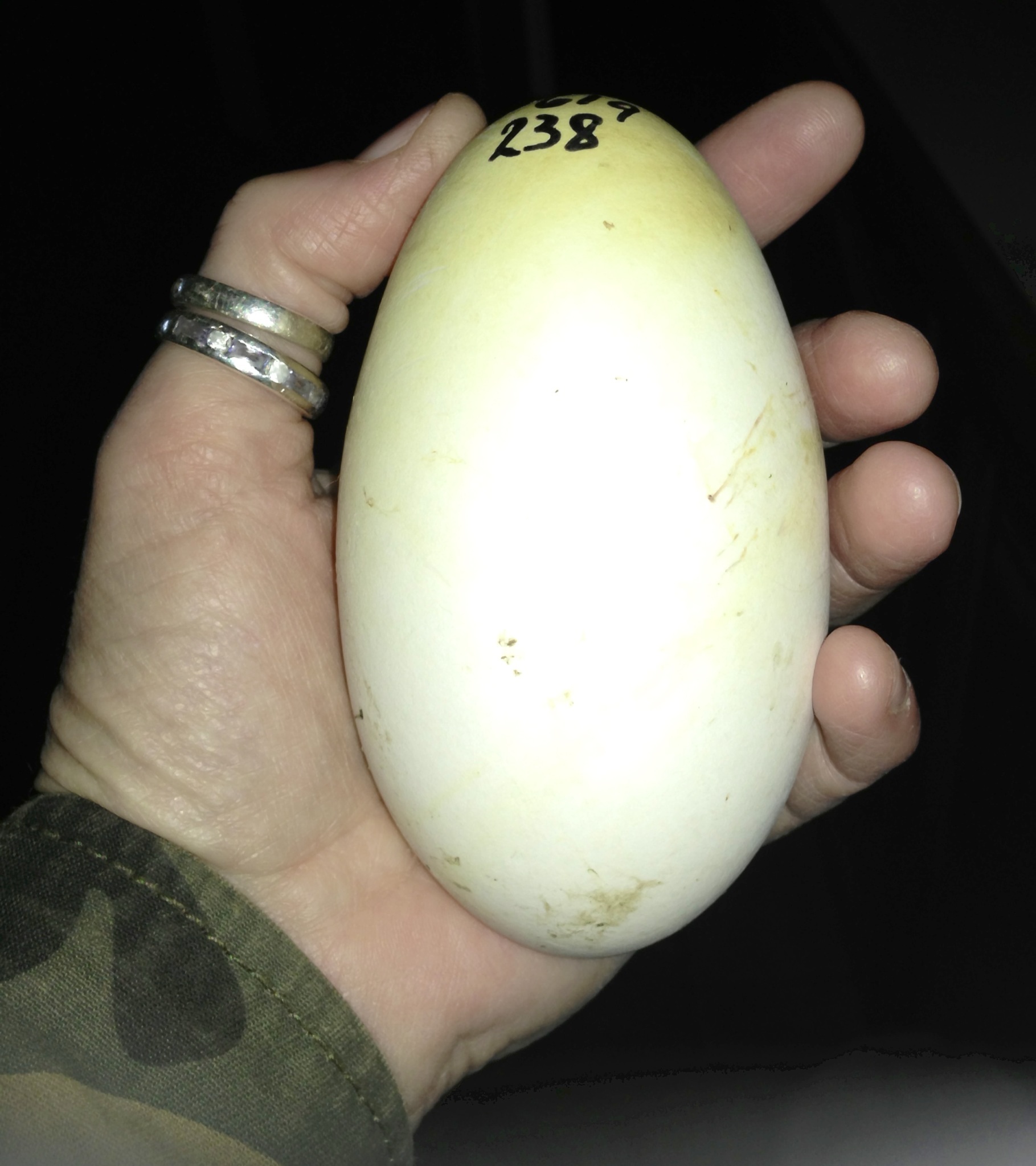 Peppers whopper 238 grams - a big handful