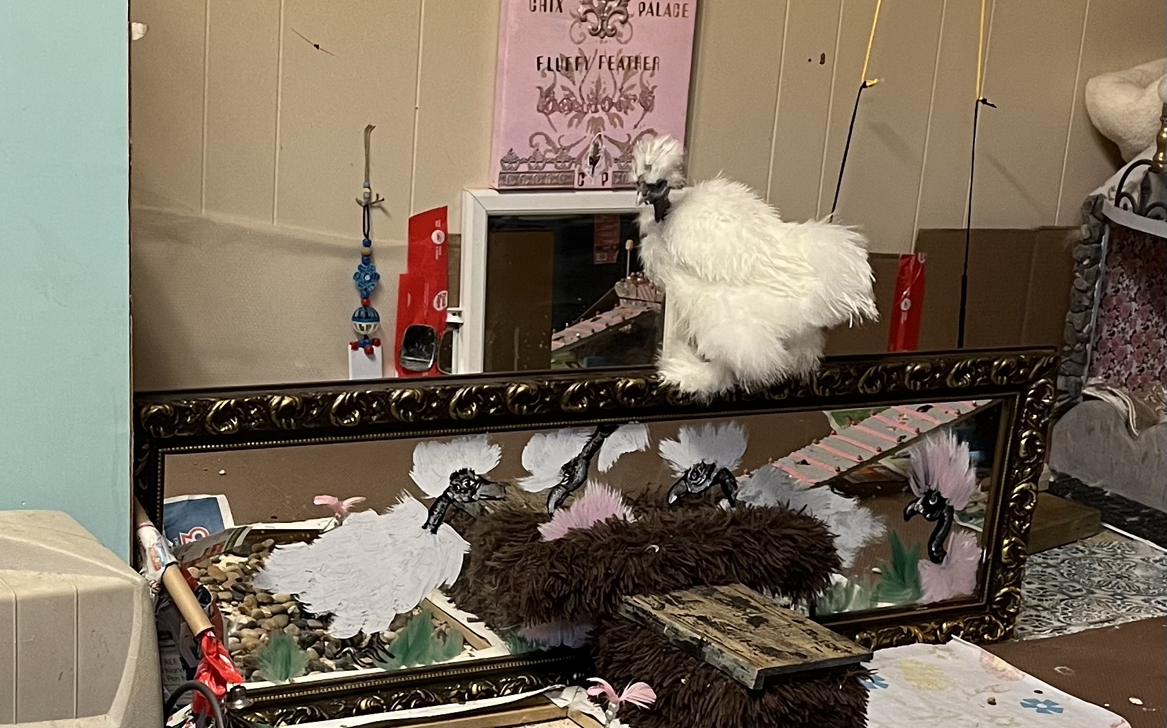 Perching on the mirror.