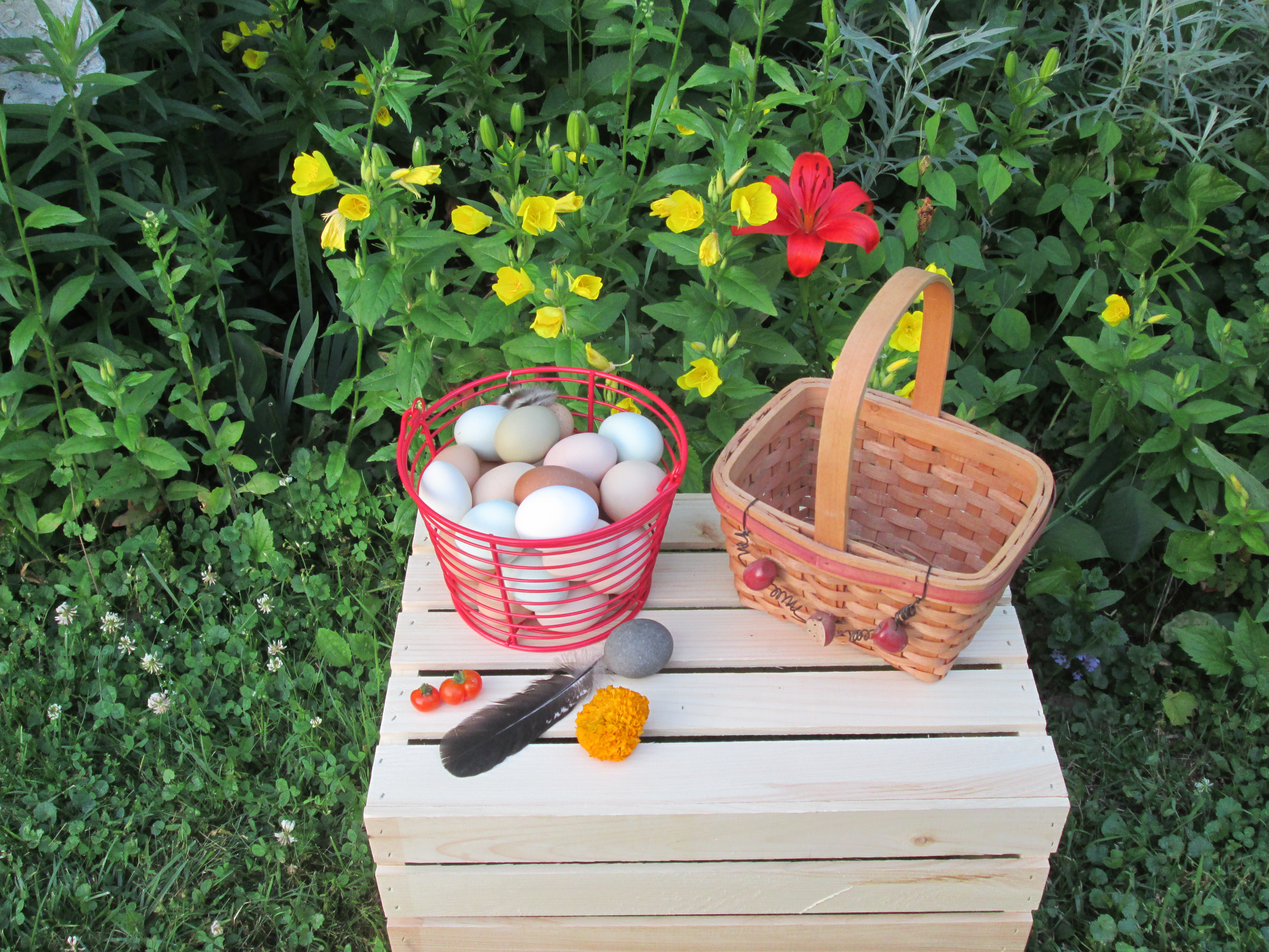 perhaps a basket?
