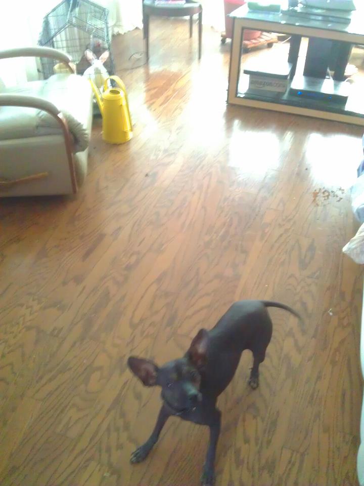 Perkele (Blue Nun in the background)