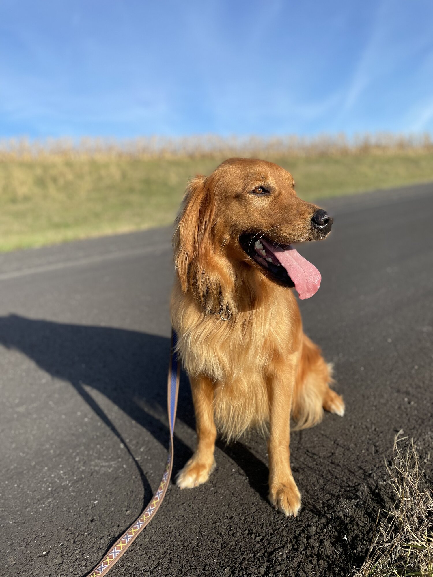 Pets with Paws Photo Contest—Official 2025 BYC Mini-Contest 106.jpg