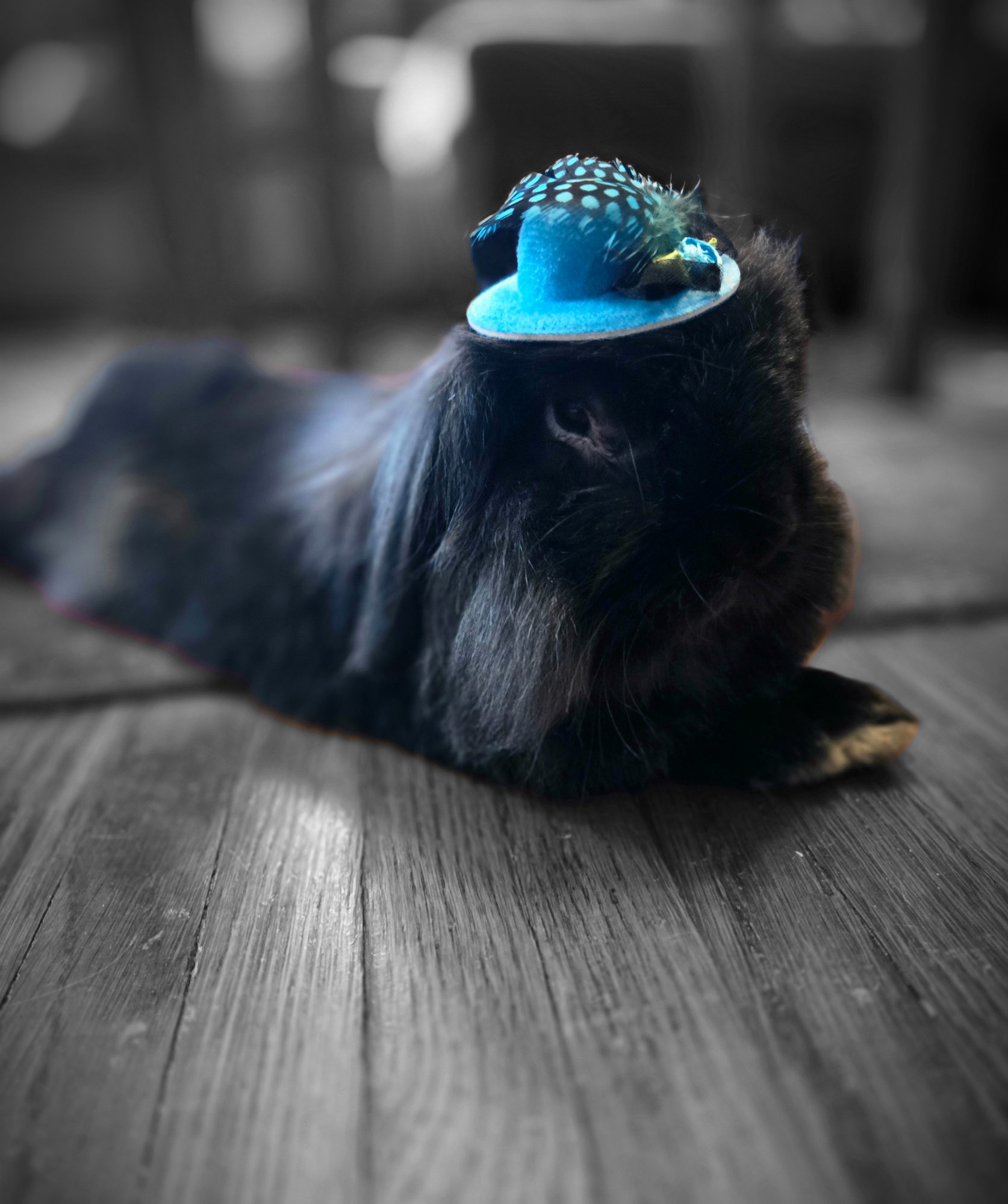 Pets with Paws Photo Contest—Official 2025 BYC Mini-Contest 109.jpg