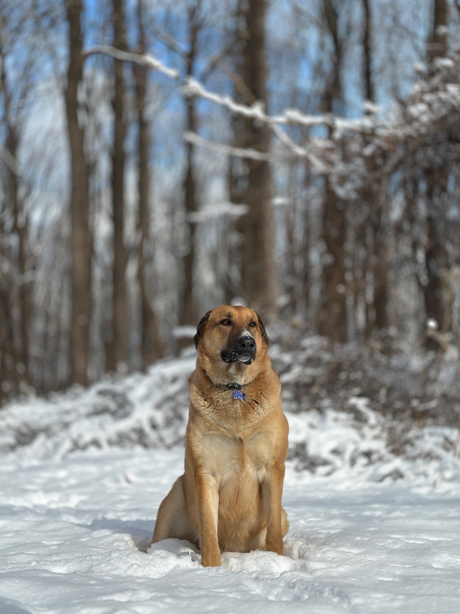 Pets with Paws Photo Contest—Official 2025 BYC Mini-Contest 120.jpg