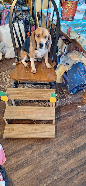 Pets with Paws Photo Contest—Official 2025 BYC Mini-Contest 3.png