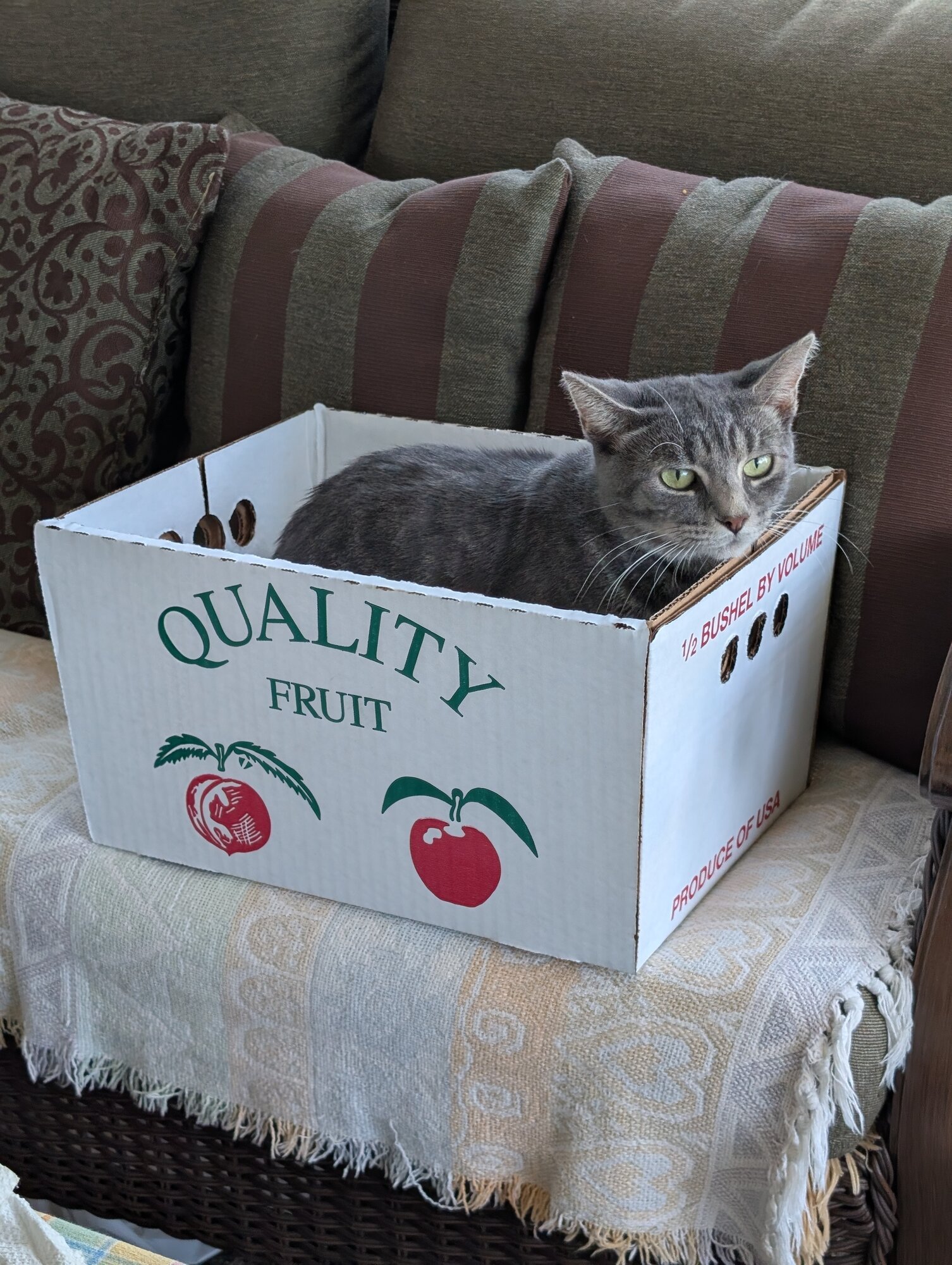 Pets with Paws Photo Contest—Official 2025 BYC Mini-Contest 30.jpg