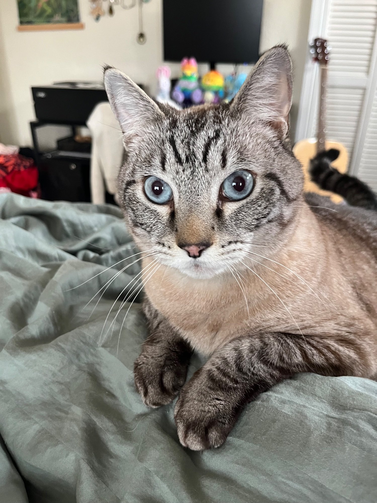 Pets with Paws Photo Contest—Official 2025 BYC Mini-Contest 48.jpg