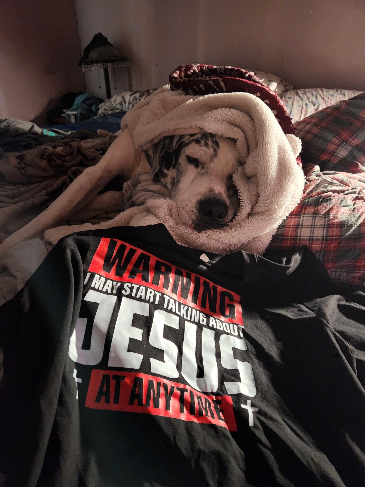 Pets with Paws Photo Contest—Official 2025 BYC Mini-Contest 67.jpg