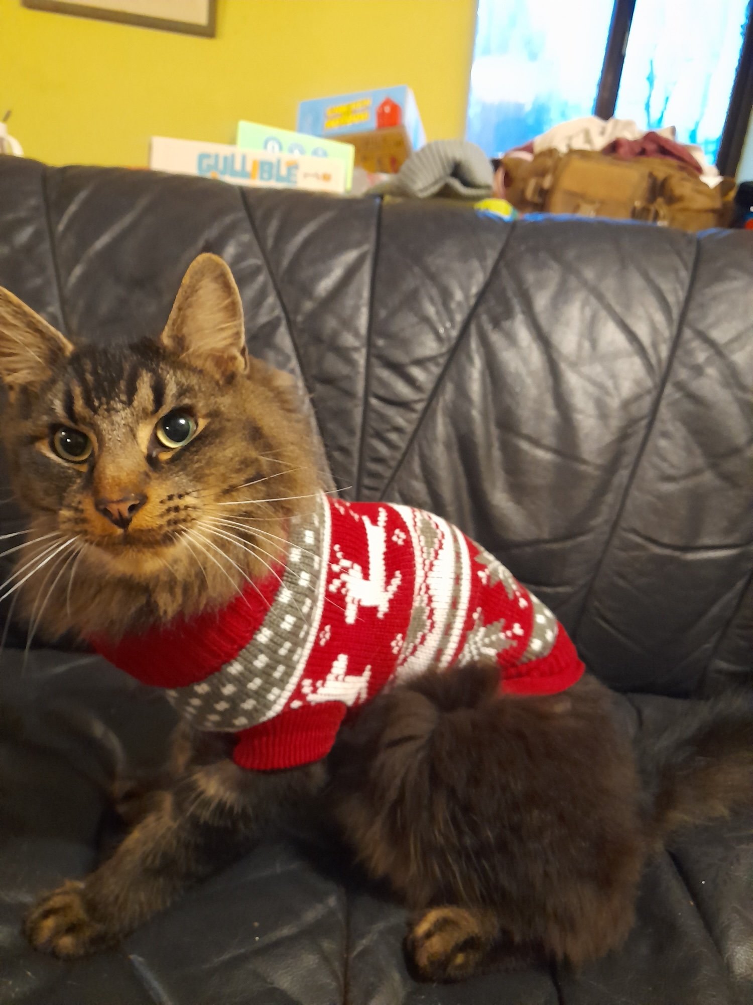 Pets with Paws Photo Contest—Official 2025 BYC Mini-Contest 70.jpg