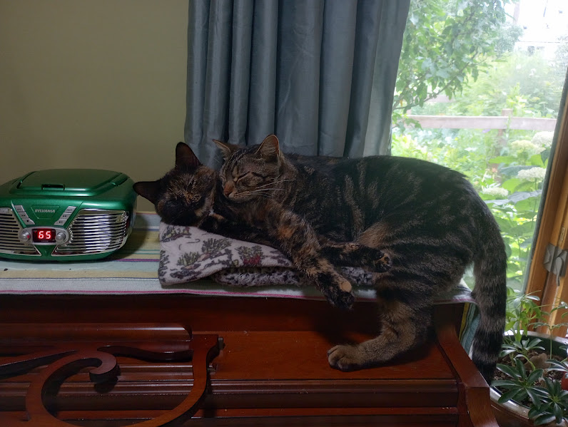 Pets with Paws Photo Contest—Official 2025 BYC Mini-Contest 74.png