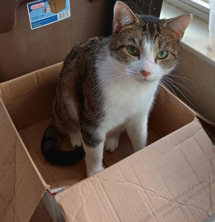 Pets with Paws Photo Contest—Official 2025 BYC Mini-Contest 8.jpg