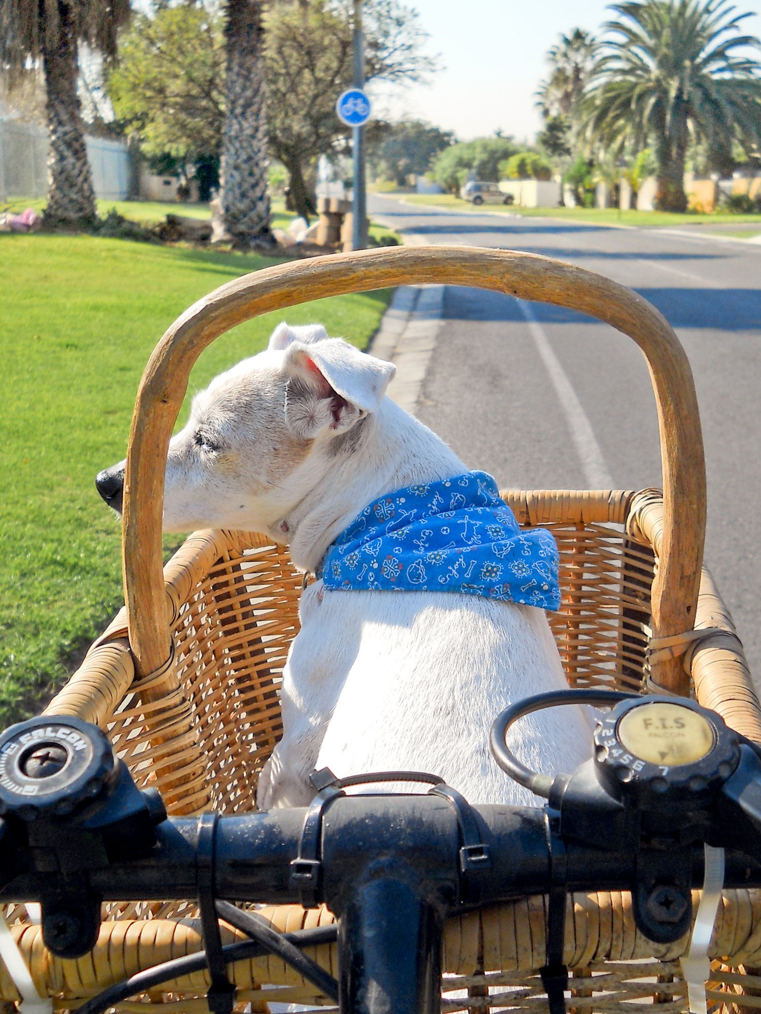 Pets with Paws Photo Contest—Official 2025 BYC Mini-Contest 82.jpg