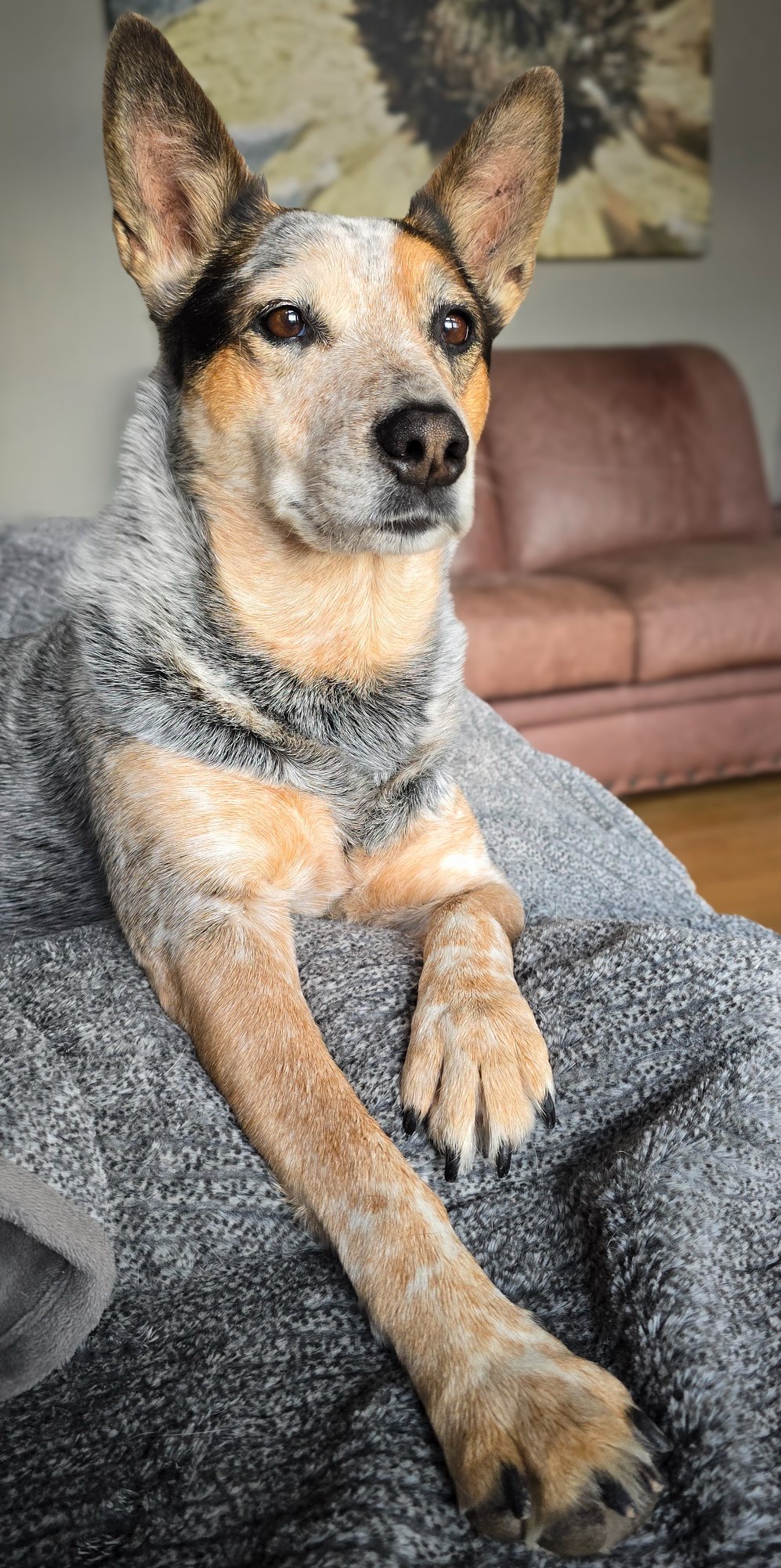 Pets with Paws Photo Contest—Official 2025 BYC Mini-Contest 86.jpg