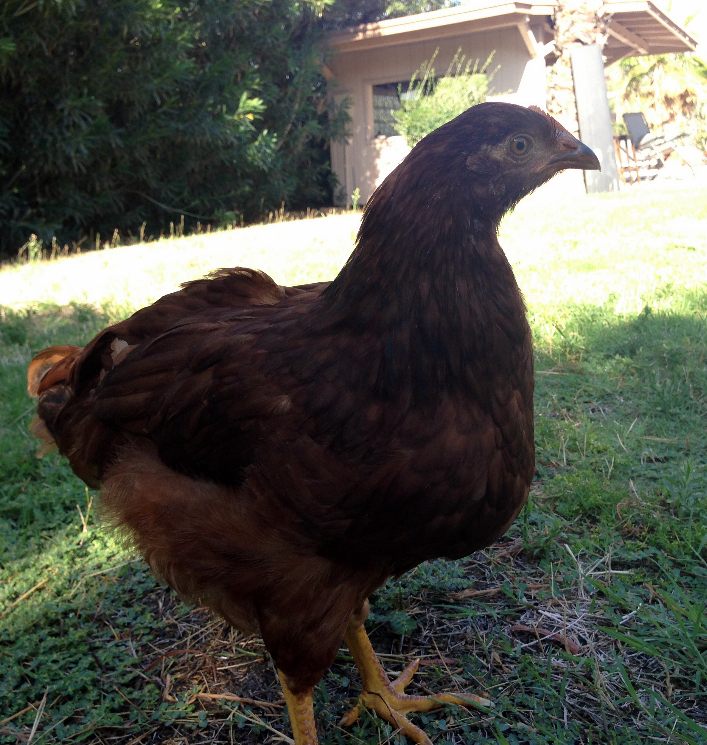 Phillie about 2 1/2 months