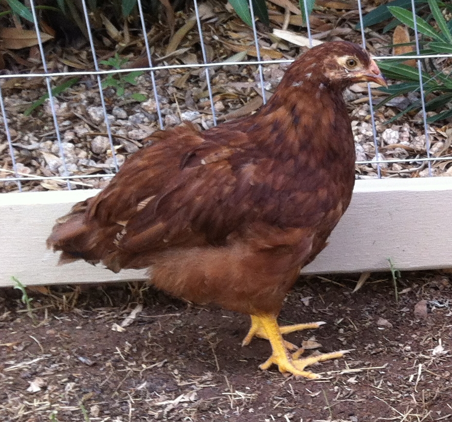 Phillie about 2 months