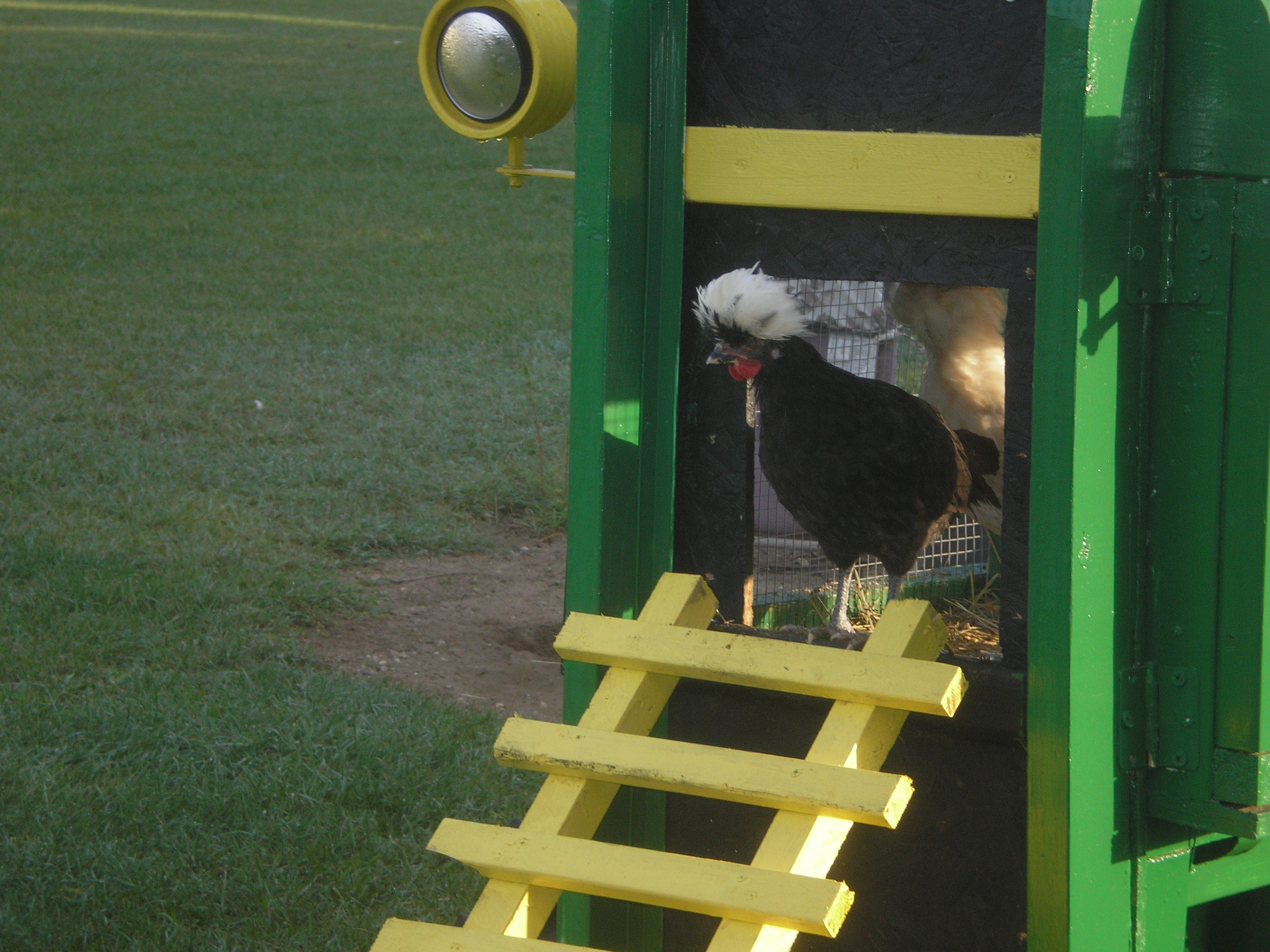 Phillis coming out of the JD tractor for the first time