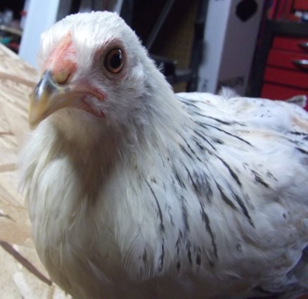 Philomena just over 2 months