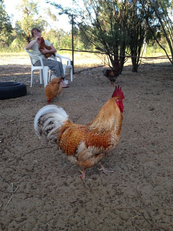 Phoenix my two year old ( and daddy to Buttons)