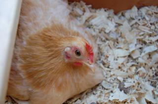 Photo does not belong to me.