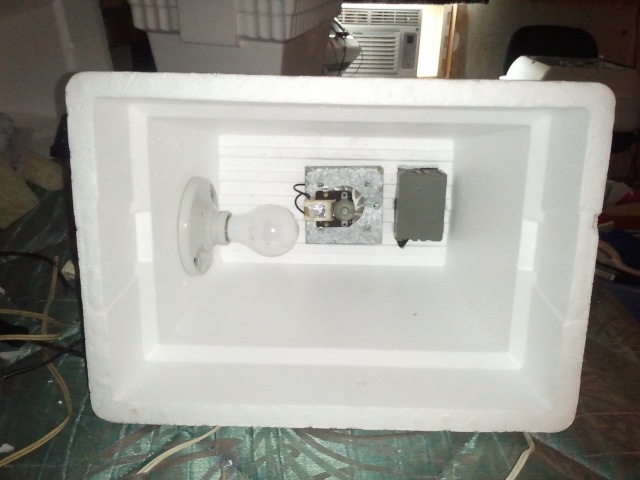 Photo of #1 before window was cut.