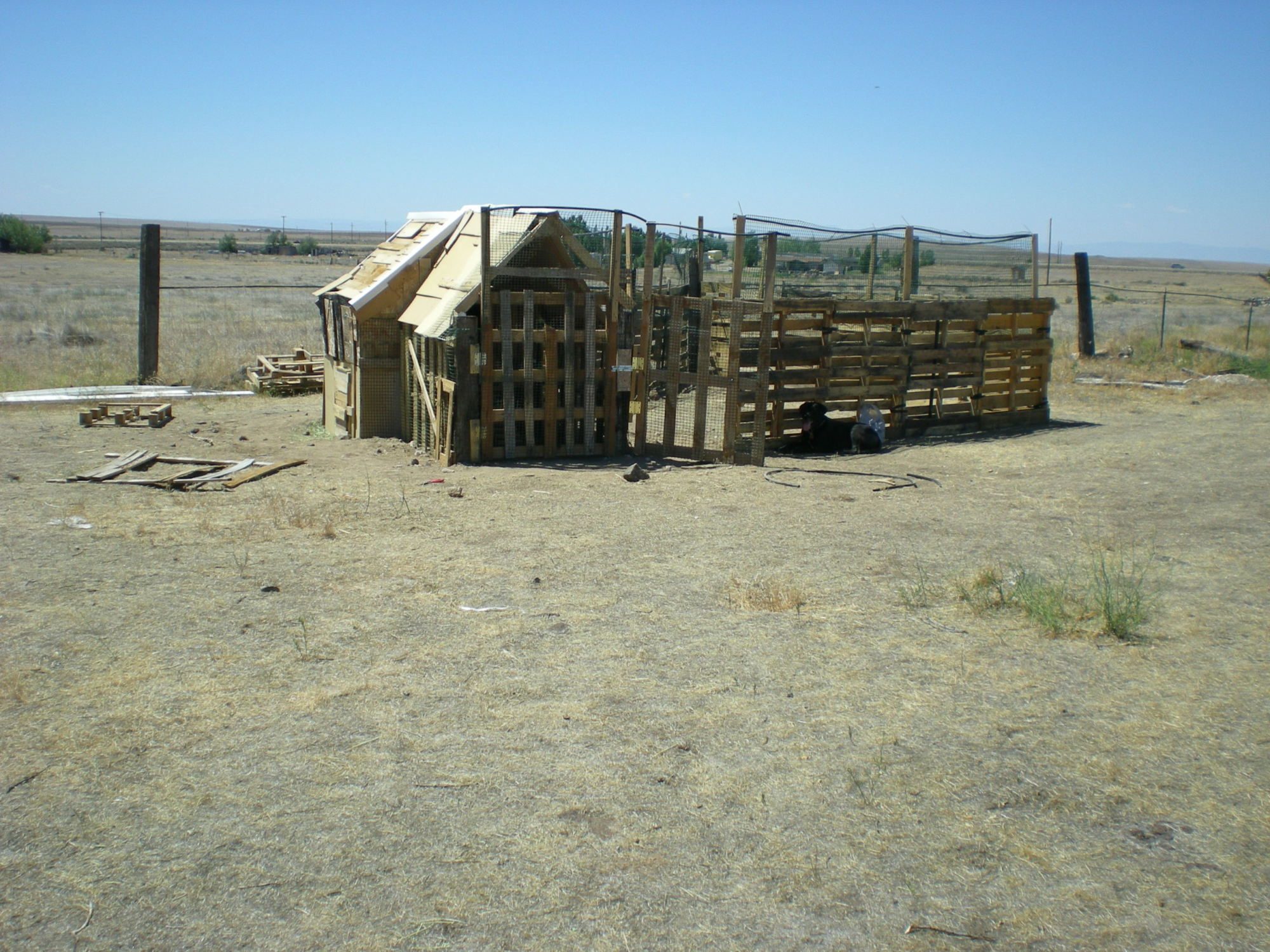 Photo of our new chicken coop and "corral" made out of pallets, not the prettiest yet, we are still working on the outside siding but it was finished enough to move the chickens.  Nest boxes are on the left and underneath is access where we will keep the water and food.  There is a gate to close the run from the "corral" at night.  In the back is a big door that opens wide for cleaning.  We won't have to actually step into the run for anything until winter hits and we have to shut them in at night.  Loving it right now :-)