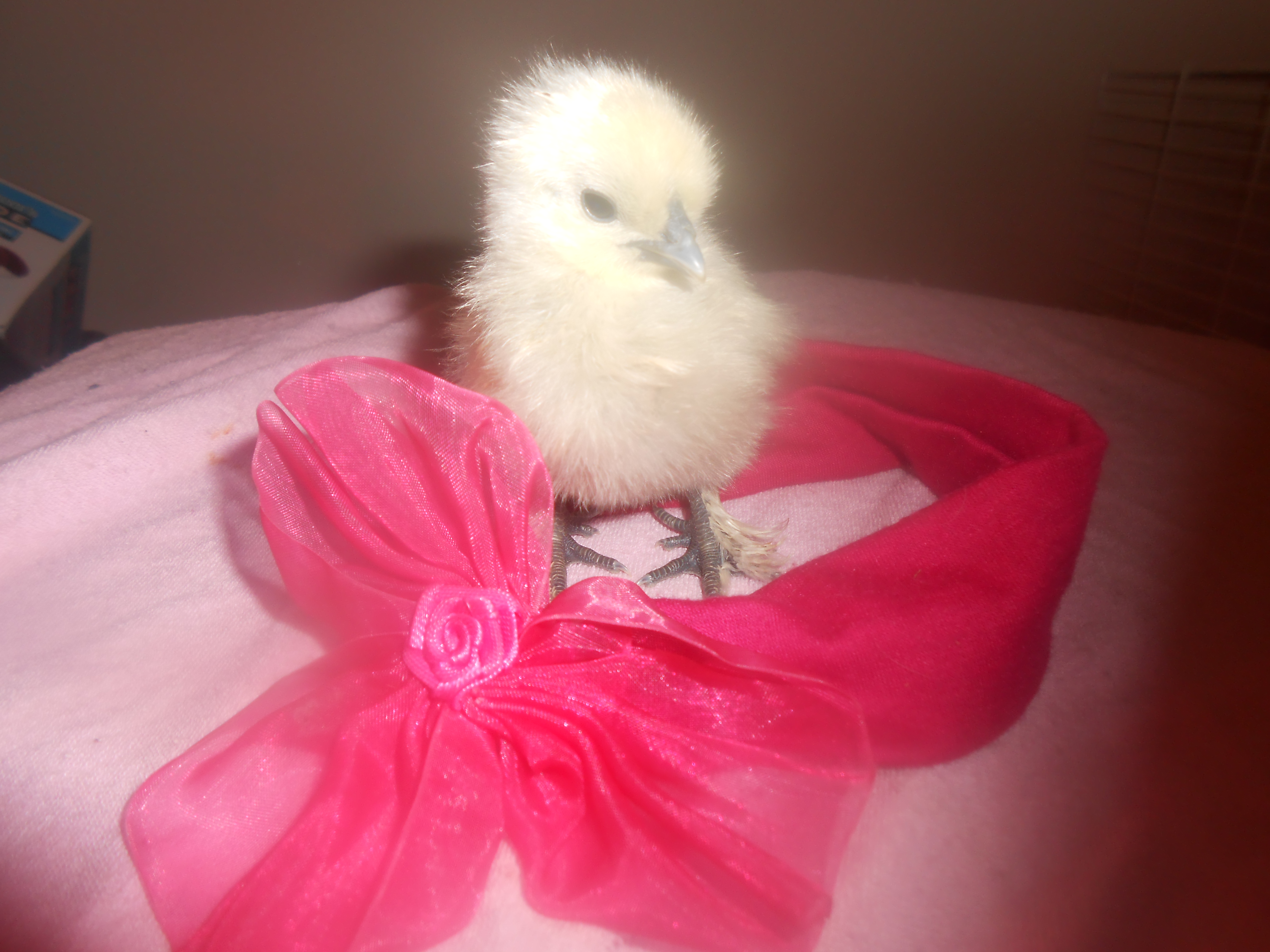 Photo shoot!
