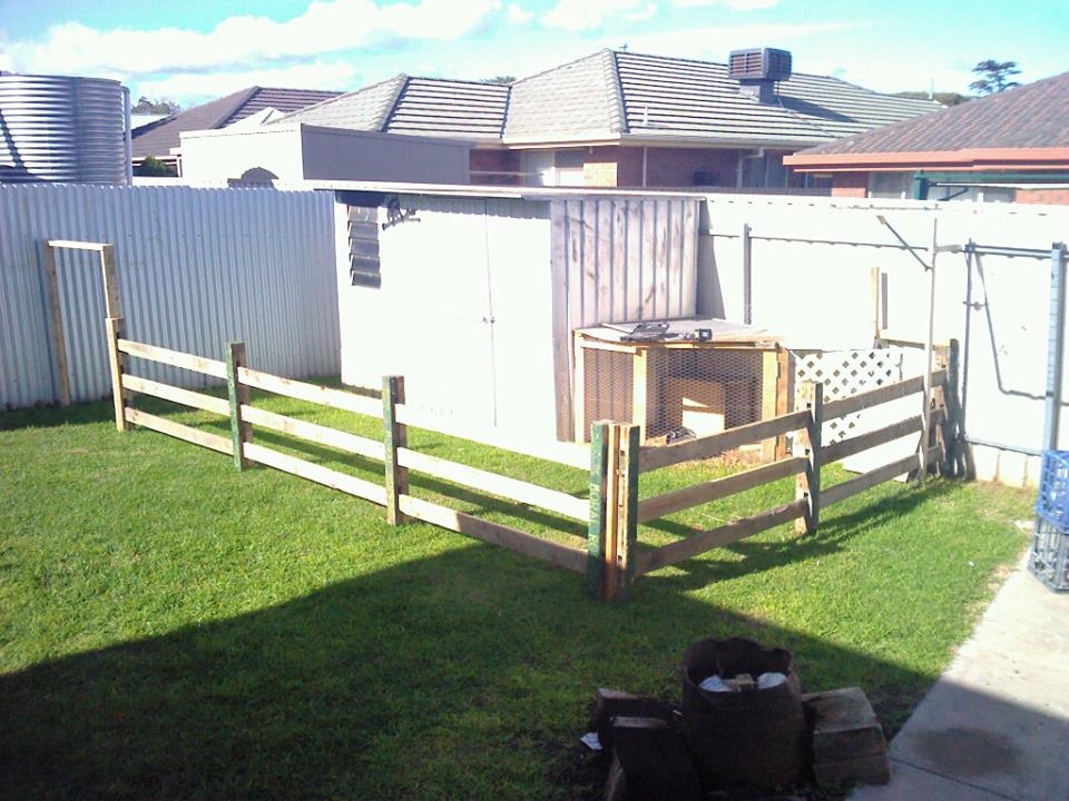 *
photo taken around 19th june. (this year)

the start of the 'farm' :) was only originally supposd to be for the rabbits to run around in.